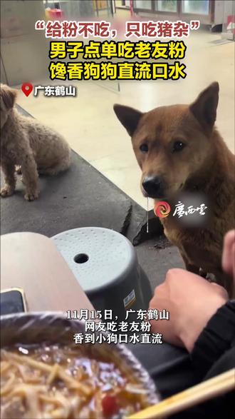 男子点单吃老友粉,一旁的小狗馋得口水直流,男子表示,狗狗不吃粉,只吃猪杂。网友:中华田园犬严选,新鲜可吃!(来源:广西云-南国早报)#狗狗 #老友粉 #美食