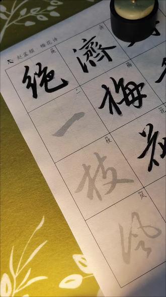 最近被这个梅花诗治愈了 #毛笔初学者入门 #书法入门 #赵孟頫 #书法 #行书常用字