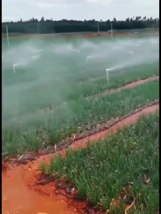 汉轩自动洒水器 360度旋转喷淋喷头菜地绿化浇水草坪 喷灌园林灌溉#自动洒水器 #洒水器 #旋转喷头 #喷灌 #园林灌溉