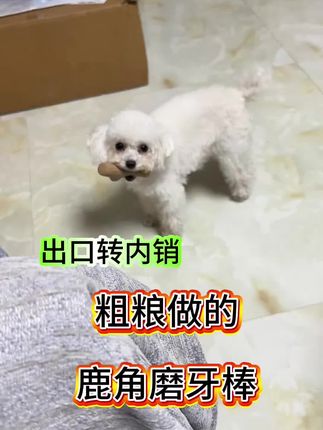 你多久没给狗补充“粗粮” 出口转内销的“鹿角”磨牙棒,可消化的,用纯粗粮做的!狗子巨爱。#萌宠小可爱 #宠物猫日常 #萌宠 #萌犬出道计划 #萌宠推荐官
