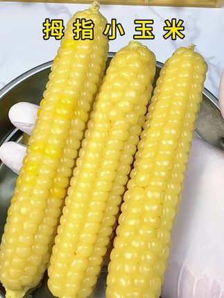 吃过这么小的玉米吗?大小很适合宝宝的小手抓握,口感细无渣,皮也很薄#玉米#拇指玉米 #软糯香甜