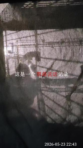 鸟坦然说,讨厌谁飞走就是了。#人间清醒 #反内耗 #现实语录 #深夜鹦语 #上热门