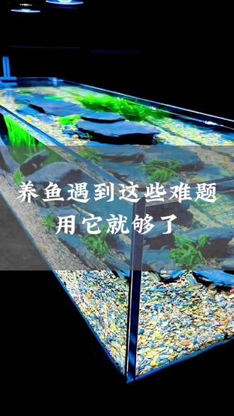 养鱼遇到这些难题,用它就足够了#养鱼#新手养鱼#观赏鱼#水族馆#养鱼知识