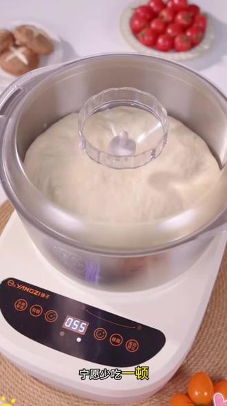 扬子YANGZI发面和面5L大容量多功能定时恒温一体机和面醒面MC#好物推荐🔥 #好东西一起分享 #爆款热卖中#醒面#恒温