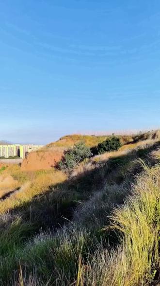 《西山旧事》 用平台的行话来说,就是用一条同质化的视频,借用场景述说陈年旧事。
人生是共赴一场为了离散的筵席。
这歌太入心,带入感太强。听着听着,就触发了记忆的闸门,自然而然就出现几十年前的画面。少年时和同龄的邻居发小和玩伴,在家乡的山坡上割草打柴、狂奔打闹的场景,像电影蒙太奇,一帧帧,一幅幅,清晰可见。重回现实,让人感慨万千。
冬哥的哥是海哥,名字第一字自带富贵,海哥儿肤色白净,细皮嫩肉,感觉吹弹可破。身材匀称墩实…
一次这顽皮的小伙伴,不知在哪儿弄得一只铜雷管,鬼使神差,竟然独自带上火柴去了西山坡,躺在向阳的山坡上,用镰刀在地上刨了个窝,然后将火炮一样的物事矗立在土坑中,掏出裤兜里的火柴,按引爆程序点燃了引信。嘭的一声巨响,山下劳作的人们听得真着。随后传出一阵杀猪般的嚎叫,想见他左手捏住右手受伤的大拇指,飞也式狂奔下山。好奇没有害死猫,可是右手大拇指被炸裂,血流如注,还弄得一脸胭脂痕,回到河岸上的家中,阿孃用竹杆在茅草屋旁边薅来带着粘性的蜘蛛网蒙住伤口,然后扯来一把苦蒿揉碎捂在蛛网上,再撕一根布条把伤口包扎起来,三月后得以愈合,右手大拇指末端留下了一块伴随一生的伤疤。
农村的孩子为生自幼劳作,到十二三岁就要作为半劳参加生产劳动。记忆最深的是,公社兴建了一个糖厂,就是那种带高烟囱榨红糖的那种。队里从广西引进甘蔗种,一个队种上几十亩。到了初冬时节,甘蔗将熟未熟,为了防止被盗,晚上就要人在地里值守。这差事就落到响俩头上,晚上就住在搭在地边杉木树上的三角形的草棚里。每至深夜,阵阵寒风袭来,衾寒枕冷,那叫一个透心凉、寒彻骨…
后来发小入伍去了藏南服役,野穛也离开村子去了别的地方。还记得每次他身着军装,回乡探亲走在家乡铁索桥上的画面,很羡慕他一身戎装和坚定的步伐。服役期满,复员后他当了生产队队长,行事公正刚直。随后顺理成章的成家立业,生儿育女。
成年之后,就各行各事,便难得见上一面。说来令人沮丧,这老实巴交的发小,五十刚出头因罹患重病,延宕年余便离开了人间…
人有生存意志,所以期盼青山不老,绿水常流,可是生存的内在逻辑,不是如此这般。生命的列车但知始发,焉知终点。人间的饭,周遭的人, 一碗一面,自当珍惜。诸行无常,不期间所见一面,瞬间即成永远。
#非虚构故事#人生无常