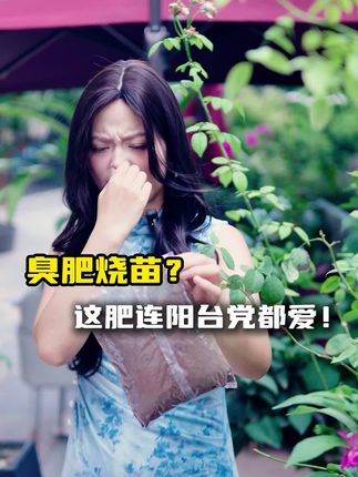 无臭发酵菜籽饼,阳台党也能用#养花#种菜