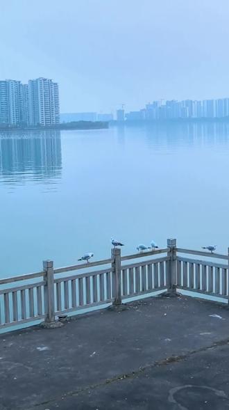 C小群:顺势而为
情绪合力战法
#投资#交易#投资有风险理财需谨慎 #投资 #陈小群