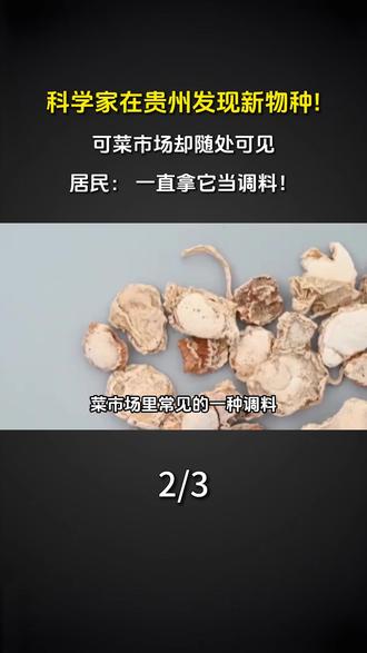 科学家在贵州发现新物种! 可菜市场却随处可见, 居民: 一直拿它当调料!#科普 #涨知识 #新物种 #植物