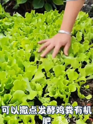 唠叨的家长养不出听话的孩子, 超限效应家长一定要知道 #家庭教育 #父母课堂 #育儿 #心理学
