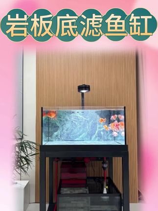 喜欢养鱼的朋友看过来了,这个鱼缸真的太棒了!它是超白玻璃岩板底滤鱼缸,可以让你更加轻松地打理水质卫生,而且它的透光度很高,能让水族箱看起来更加美观。同时它还能有效过滤水中的杂质,让鱼儿生活的更健康,无论你是新手还是老手,都可以买一个试试哦!#鱼缸里的大自然 #鱼缸 #造景鱼缸 #养鱼 #轻松养鱼