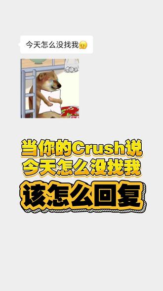 当你的 crush 说今天怎么没找我时,该怎么回复#和crush怎么聊天啊 #日常聊天撩人小技巧 #搞笑聊天记录 #crush老是不回消息怎么办 #和crush的故事