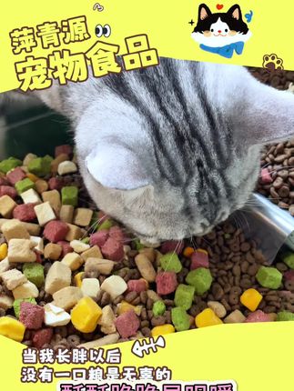 每次吃完还想吃的猫粮 就是萍青源冻干七拼猫粮 #养猫新手 #宠物食品 #猫粮 #猫粮推荐