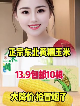 视频同款东北黄糯玉米 #超便宜超划算 #优质农产品 #东北黄糯玉米 #糯玉米 #软糯香甜