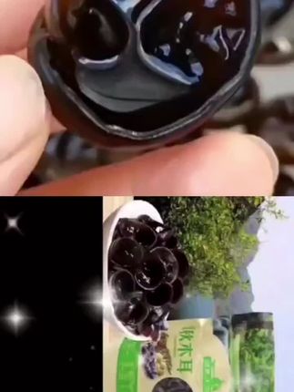 东北小碗秋木耳,厚实有嚼劲,囗感好#黑木耳 #强烈推荐