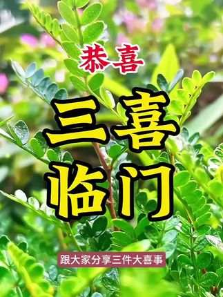 #迎接新生命 #新生儿 #新生宝宝 #四胎宝妈 #喜得千金母女平安 恭喜听听一家喜得心心念念小棉袄啦,两儿两女啦,凑了两个好字!!
