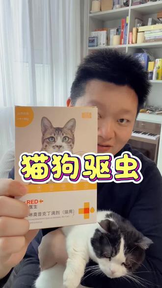 夏天寄生虫高发,给猫狗驱虫推荐这种第三代的吡虫淋莫西克丁,便宜又好用#猫狗驱虫#猫 #猫咪 #铲屎官和他的主人