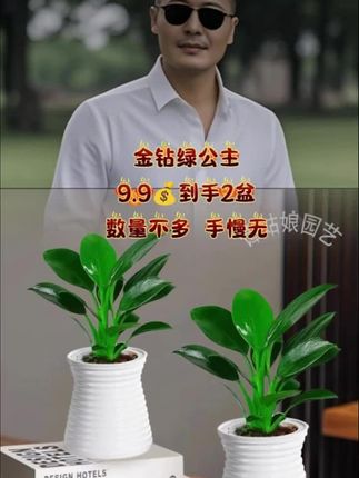 #爱生活爱养花 #室内盆栽 #创作者扶持计划