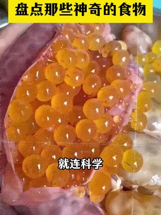 方便快捷,好吃不贵的香河肉饼