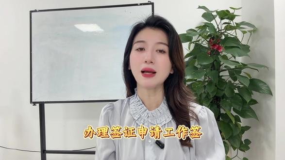 美国无犯罪海牙认证:出国必备,如何轻松搞定? #海牙 #海牙认证 #海牙认证办理流程