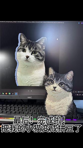 当我又有小猫又有拼豆的时候
小豆包子直接转换
拼豆接单中~
#拼豆 #手工 #拼豆接单 #猫