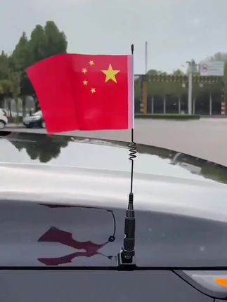 #国旗 #祖国在我心中 #中国正能量 #喜迎国庆 #厉害了我的国