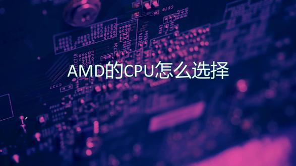 一个视频理清CPU之间的关系 #电脑装机 #amd #热点 #电脑 AMD篇