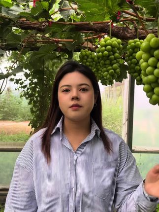 大家抓紧点我直播间带回去吃#葡萄#阳光玫瑰#葡萄熟了