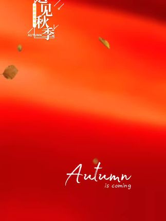 劲码RC03蓝牙遥控器适用大疆Action 4/5pro运动相机Osmo360遥控器#摄影器材 #强烈推荐 #宠物狗 #新科技