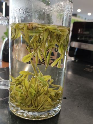 茶叶品质好不好?关键看这三点!这款茶口感好、香气足、回甘生津…#强烈推荐#茶叶#绿茶#口粮茶推荐