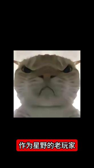 星野你终究还是忘本了#ai聊天 #ai #星野
