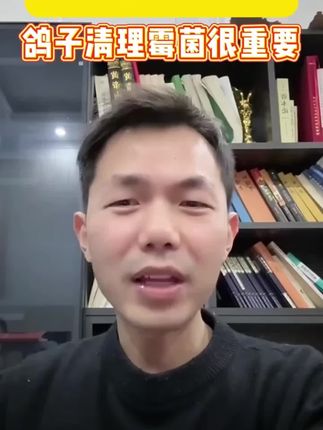 鸽子吃的粮食要经常脱霉啊,现在脱霉剂买一送一,快来抢购吧#鸽子养殖技术#养鸽人#鸽子#鸽子爱好者@抖音创作小助手