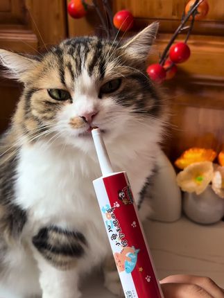 国外的乳铁蛋白动不动就大几百,你看看国产的才多少钱,用料和进口的一样,可以省下不少呢!!别再花冤枉💰了#养猫新手 #宠物乳铁蛋白 #乐施 #无限回购的宝藏单品 #养猫新手
