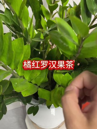 #好货