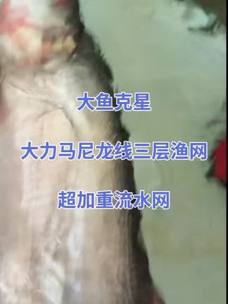 水中翻腾的鱼影,网中跃动的希望,每一次下网都是与自然的对话。 #户外捕鱼 #渔网 #户外抓鱼 #渔网加工 #鱼获满满