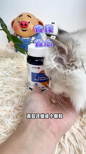 给猫咪补充营养,不能靠单一猫粮,选对是关键,申亚这款适口性好,猫咪喜欢#新手养猫#申亚威能 #养猫新手 #猫咪营养品 #养猫