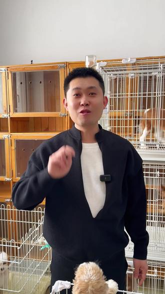 所有养狗人注意了,叫你们两个淘米水的小妙招。#养狗人 #宠物 #沈阳犬舍 #生活小妙招 #养宠知识分享