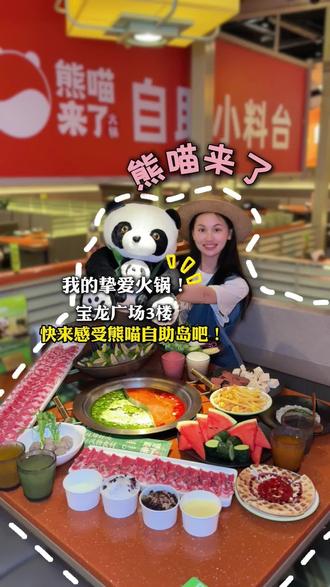 熊喵来了,岛台也太权威了 #熊喵来了 #盐城熊喵来了 #火锅