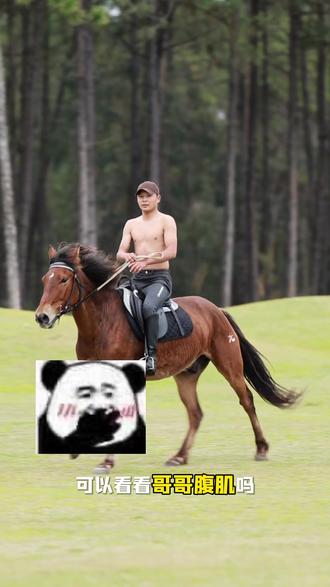 遇到帅哥不要直接说我想看你腹肌!这样显的没文化,如果你想看我们教练腹肌,要这么说#欢乐岛马术 #马术运动 #马场日常 #一起野个好身材
