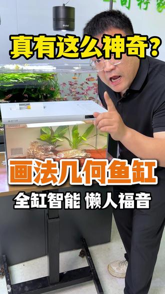 画法几何鱼缸,颜值高,过滤好#画法几何鱼缸 #智能鱼缸 #鱼缸 #养鱼
