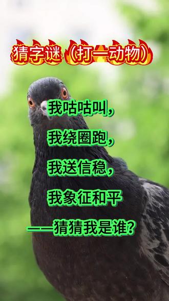 猜猜这是什么?#猜迷 #猜谜语娱乐