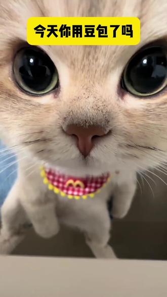 今天你用豆包了吗 #豆包app