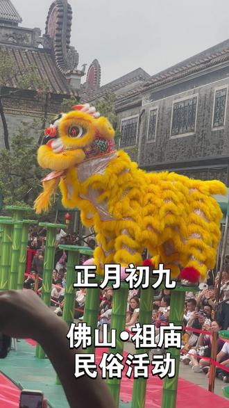 正月初九,佛山祖庙民俗文化表演#醒狮文化 #醒狮传承 #民俗文化 #高桩醒狮 #醒狮表演