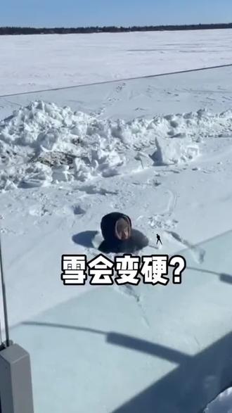 不是所有的雪都可以跳起来扎进雪堆里,时间长了就会变硬#冬天玩雪 #下雪#冬季