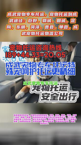 #成武宠物专车托运特殊宠呵护托运更精细 #宠物专车托运 #宠物托运哪家好 #宠物托运高铁托运 成武宠物专车托运,宠物托运到成武途径:巨野,郓城,鄄城,定陶,东明,菏泽,曹县,单县,成武宠物托运物流公司24小时宠物托运,上门接送,全国可发!手续全包,航空专车双选项,独立笼具干净保暖,专人全程喂食安抚,实时反馈动态,无隐形加价,低应激运输,各类宠物均可接,靠谱,爱宠出行。