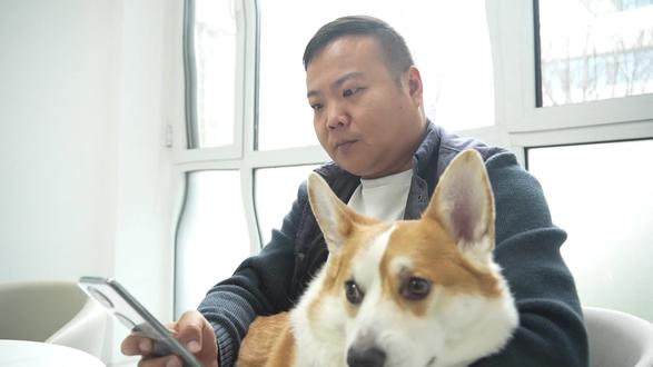 新治安管理处罚法解读之养犬篇 #新治安管理处罚法 #抖来普法2026 #狗证办理#volg日常 #宠物