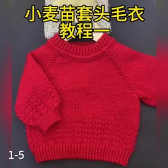 摘蓝姐编织小麦苗套头毛衣教程1-5