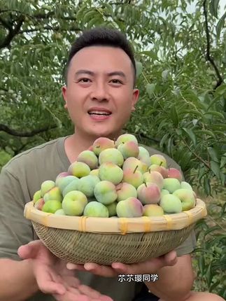 我们家的蜜脆李入口脆甜,风味浓郁,就是我们小时候的味道,你想吃吗?#李子#汇奉源蜜脆李 #新鲜应季水果