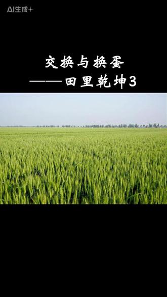 交换与换蛋! #游戏 #人生 #快乐
