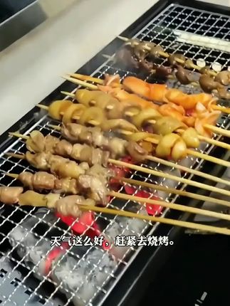 #创作灵感 #烧烤炉 #户外烧烤野炊 #野餐必备 #户外休闲