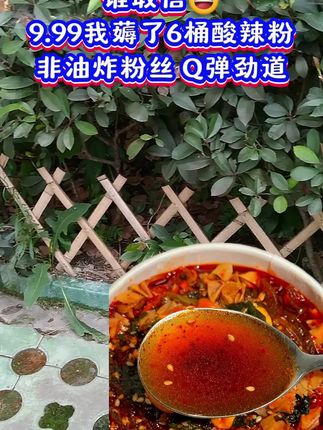 #酸辣粉#饿了来一碗 #酸辣好吃#强烈推荐 #我可真会买